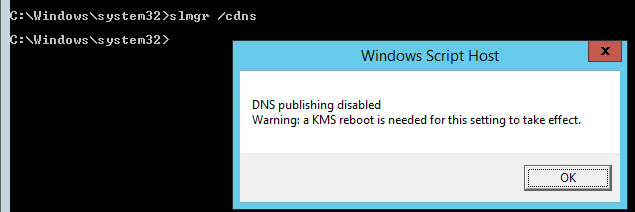 отключение пубомкации KMS в DNS