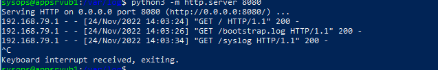 логи http сервера на python