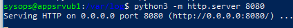 запустить веб сервер на python